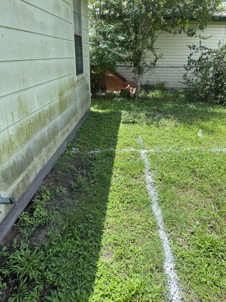 White Mark & Flagging 3